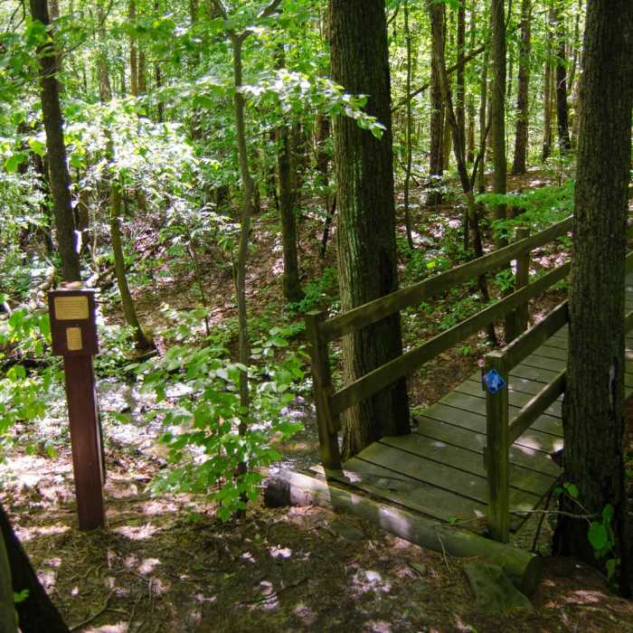 Near Christman Sanctuary