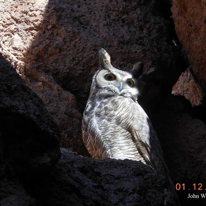 Near Shoreline & White Owl Canyon Loop