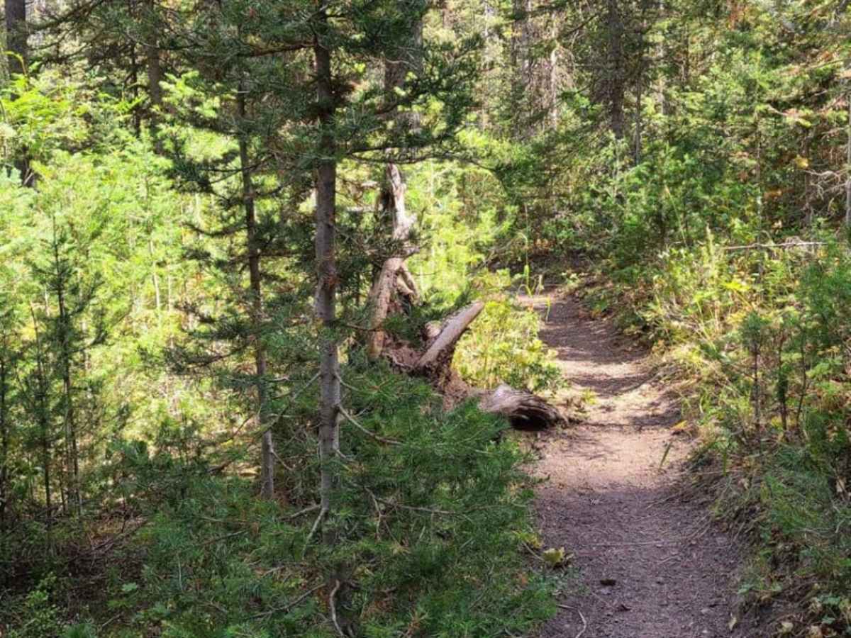 Crear Creek photo 2
