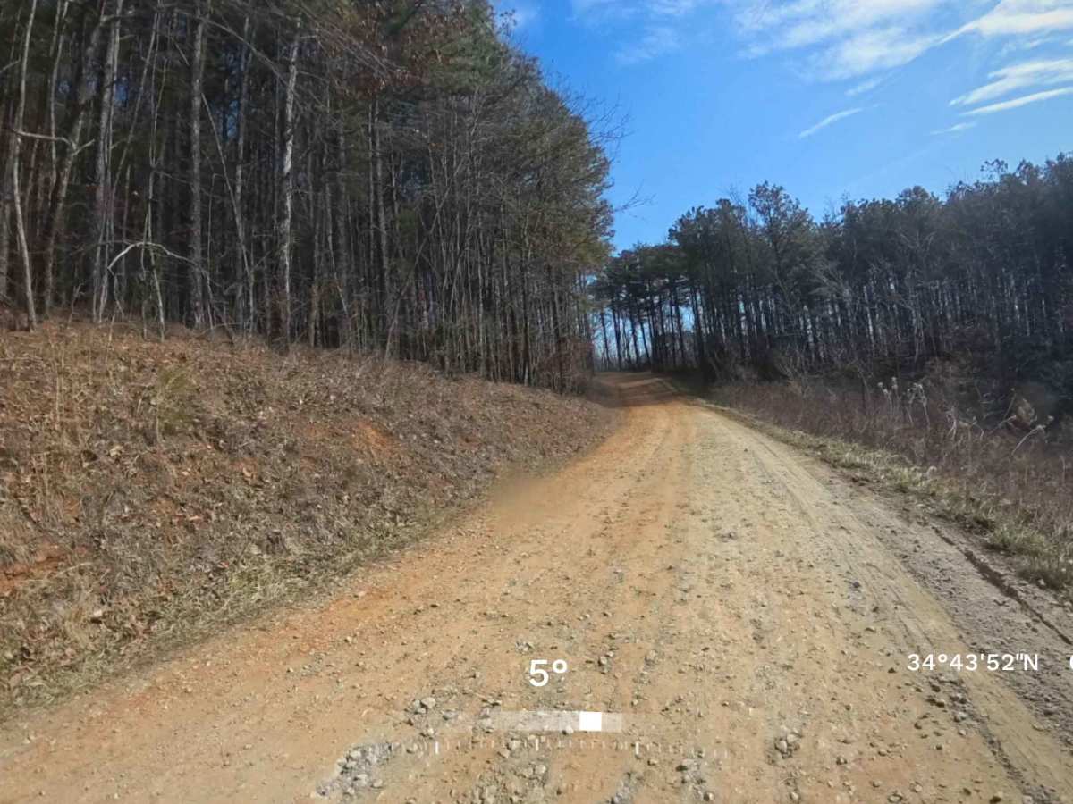 Vandiver Mountain Road - FS 418 trail photo