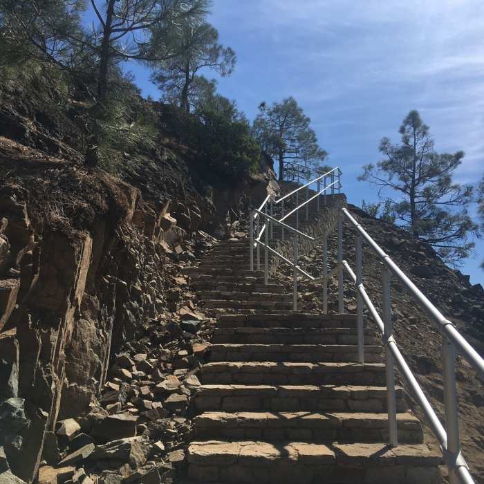 Near Summit Trail