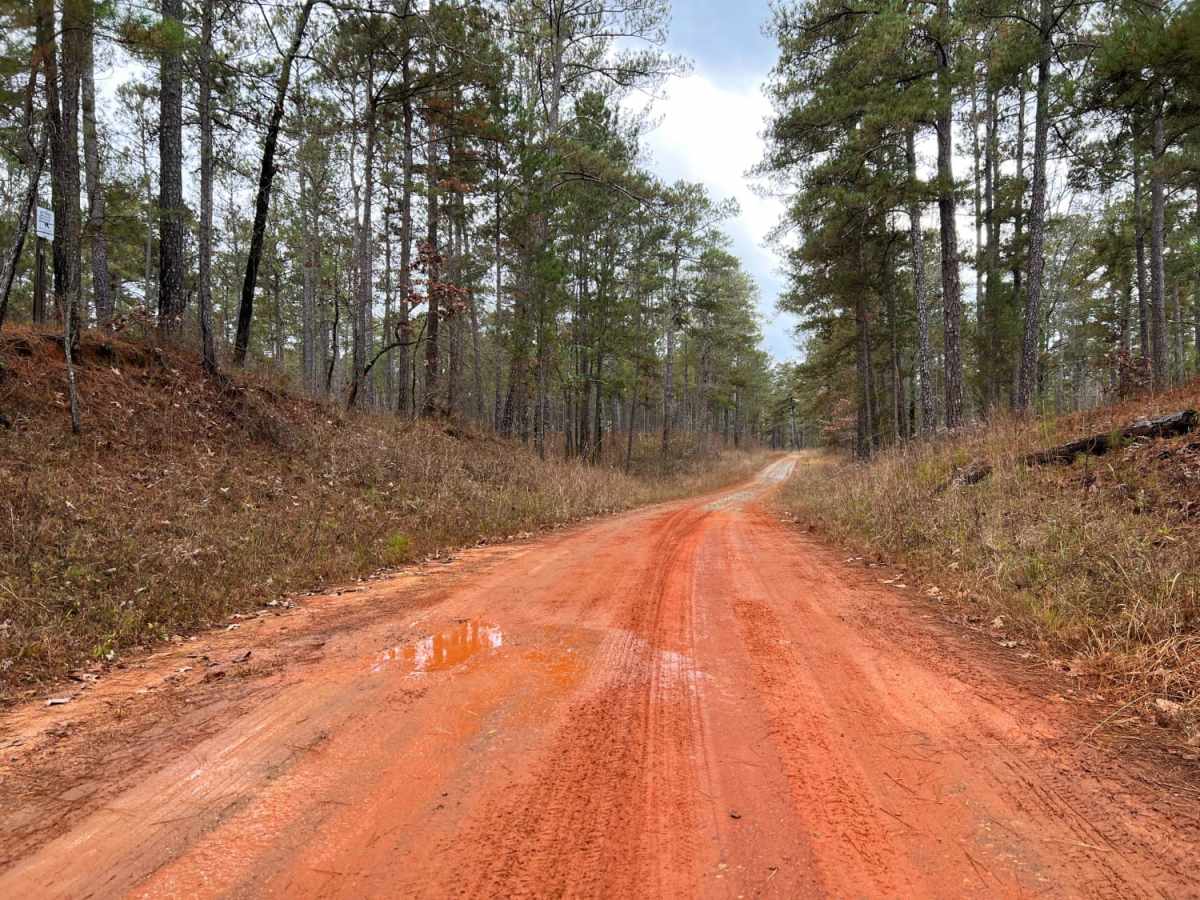 Oconee Starr photo 2