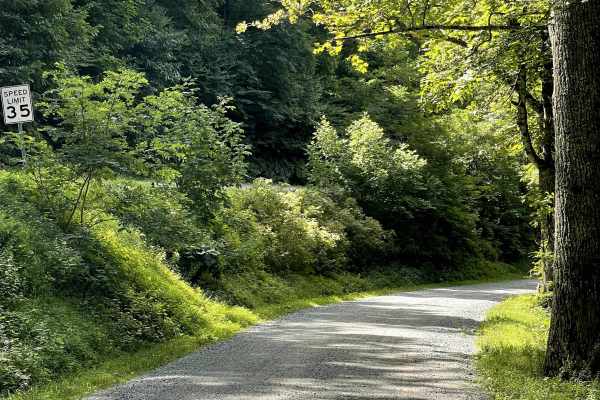 Edgemont Road