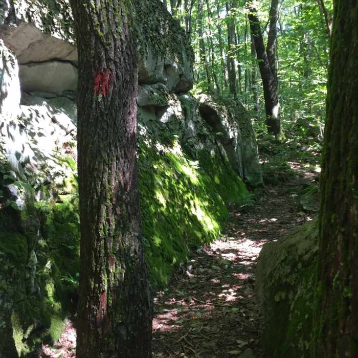 Boulder garden on Baughman Trail. Near Sugarloaf Sled Hill to Falls Overlook