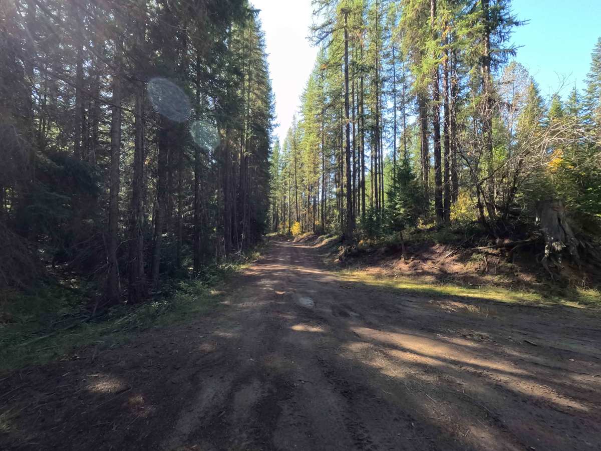 FS 9413020 trail photo