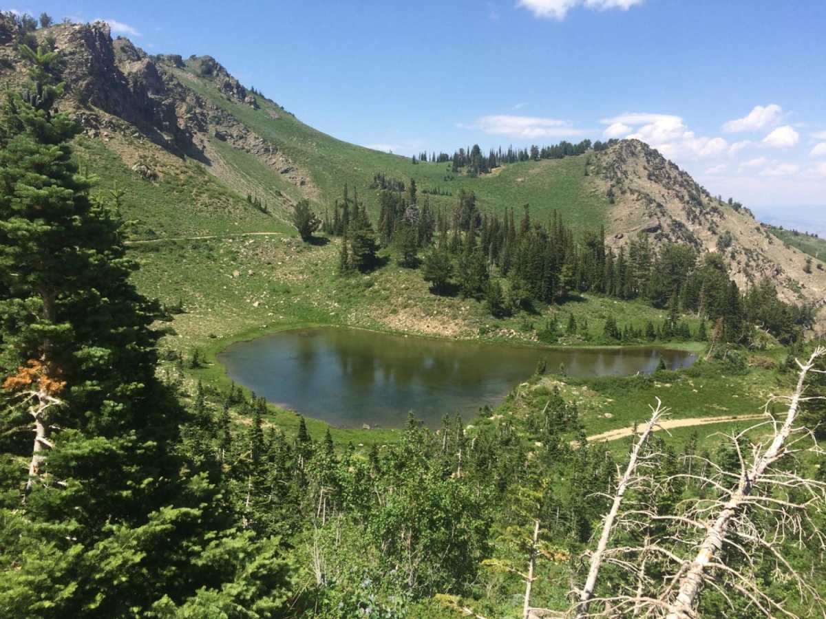 Smith Lakes photo 4