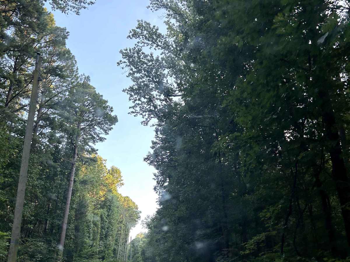 Glen Street trail photo