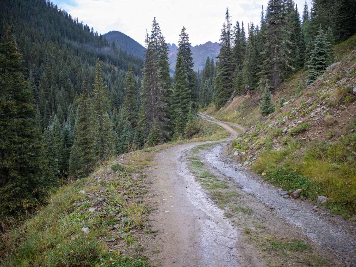 Middle Fork Mineral Creek photo 3