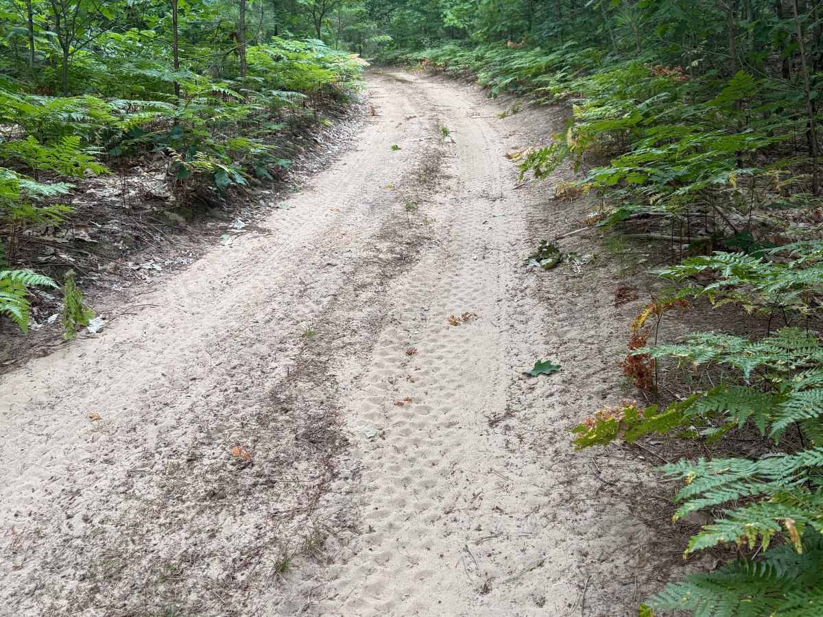 East Buchanan-Pierce Trail photo 4
