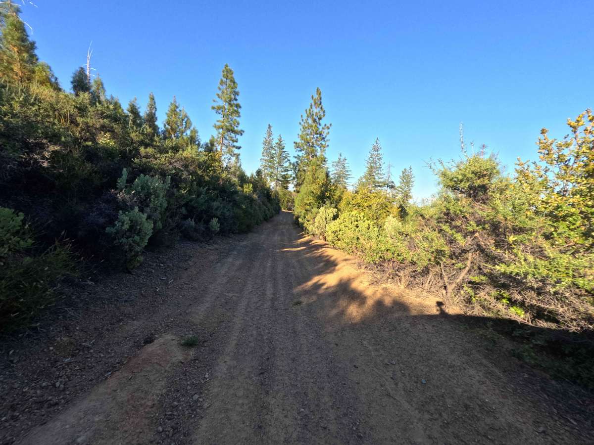 Little Sullivan Ridge - FS 85346 photo 6