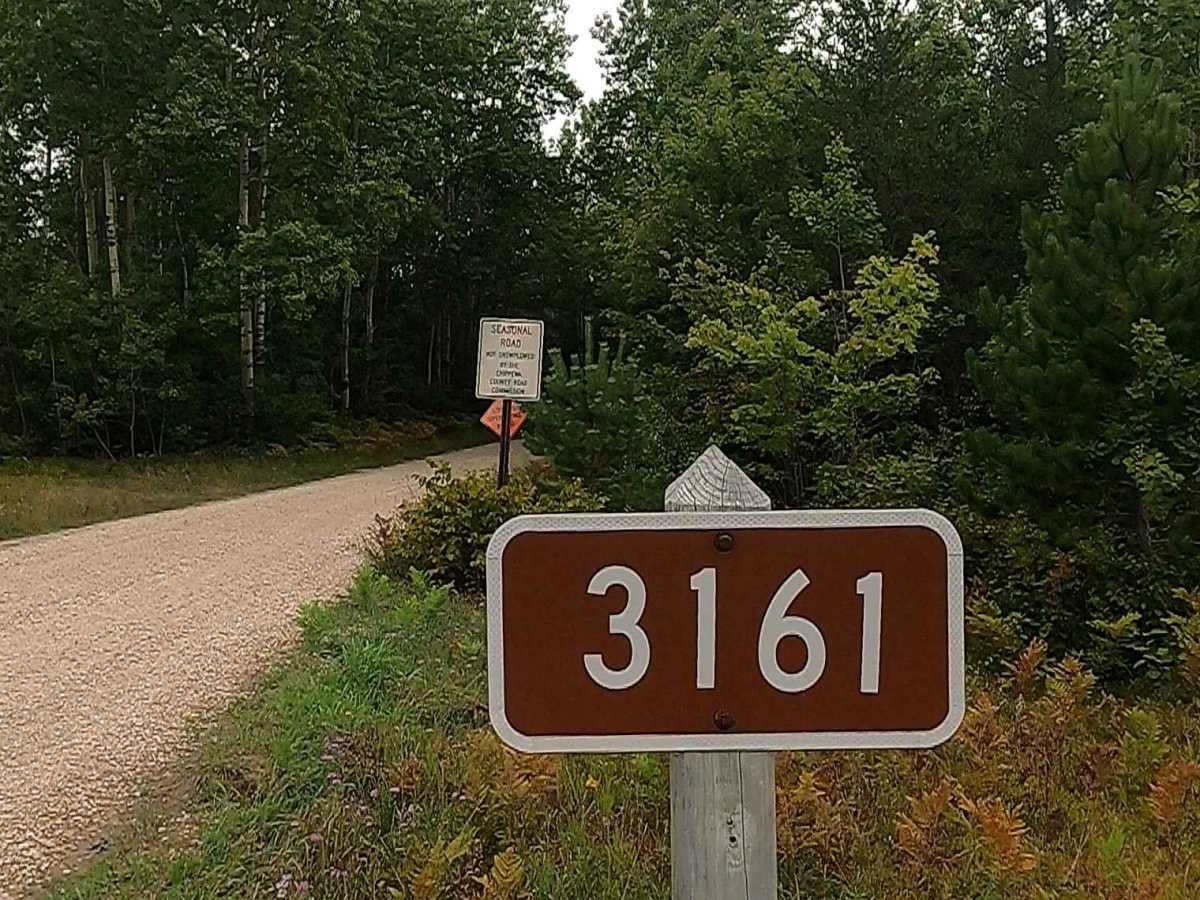 Flat Foot - FS 3161 trail photo