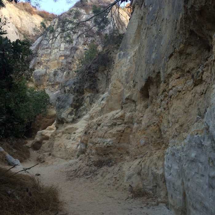 Near San Elijo Lagoon: Annie's Canyon Loop