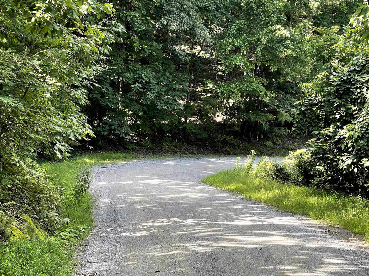 Dagger Springs Road trail photo