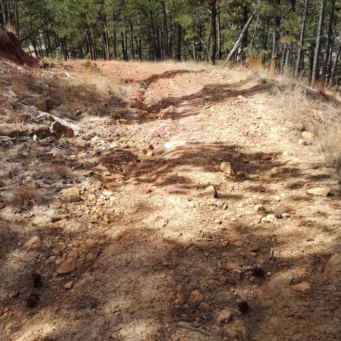 It gets a little rocky and steep. Near Sanctuary/ Centennial/ Highland Creek Loop