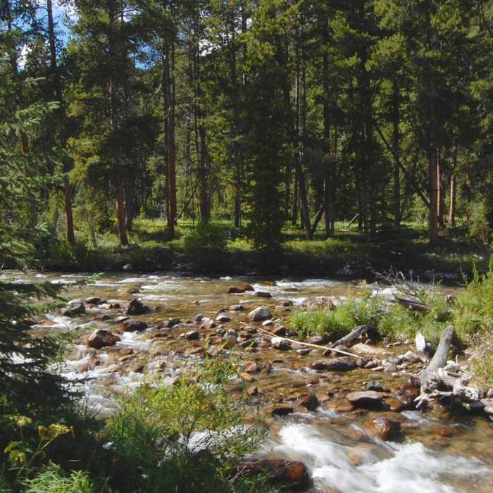 Near Lost Lake Near Lost Lake