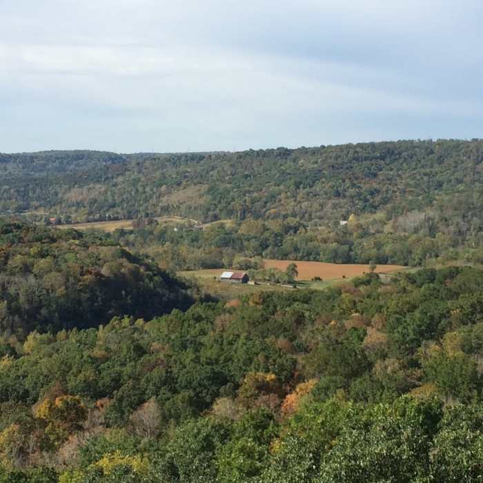 Near Buzzards Roost Rock Trail