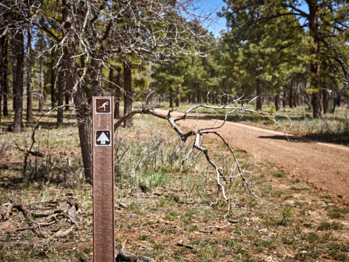 Ski Trail Connector 1 trail photo