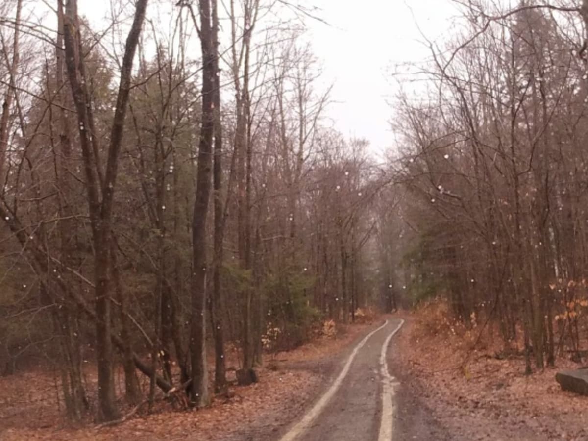 Hammond Hill Track trail photo