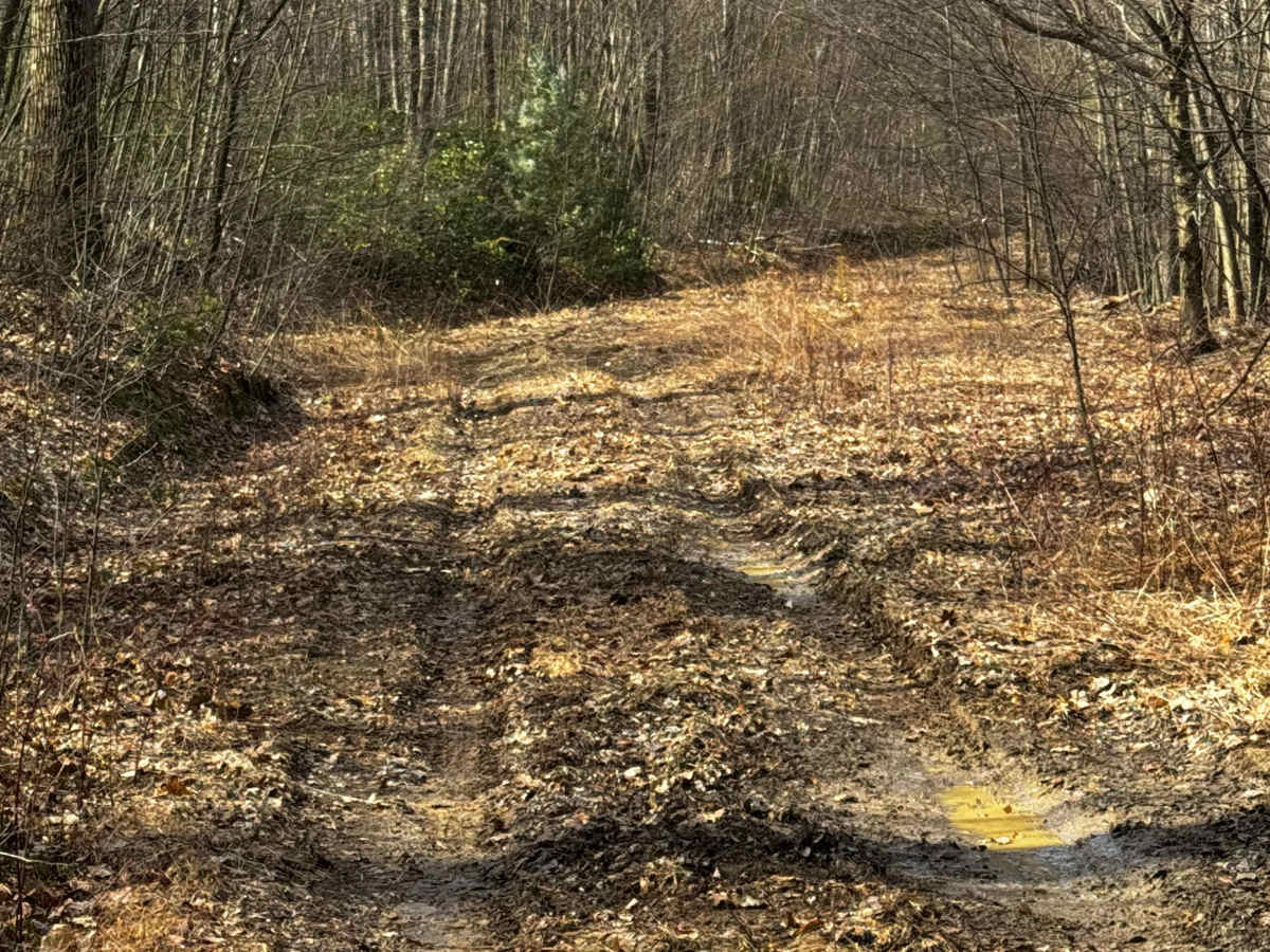 Gas Road photo 4