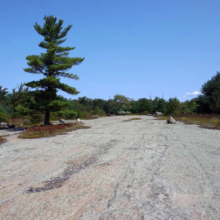 Near Lemon Squeeze, Bowling Rocks, and Valley of Boulders Loop
