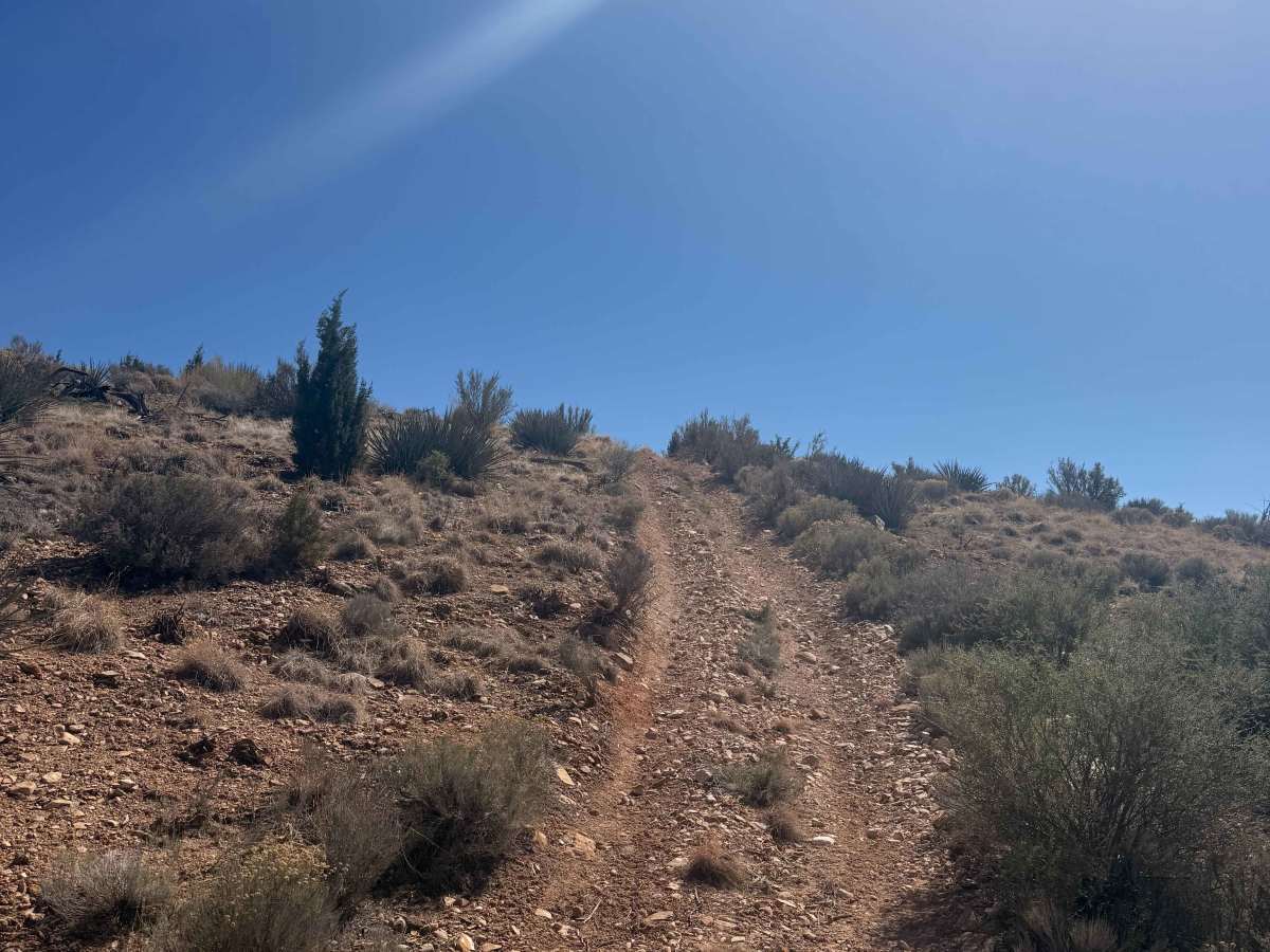 Ridgeline Romp photo 3