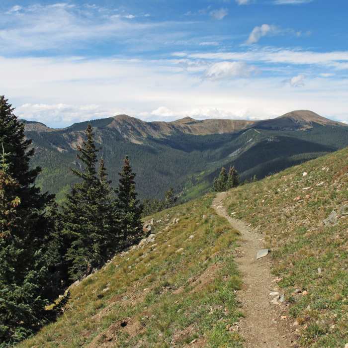 Near Wheeler Peak Trail #90
