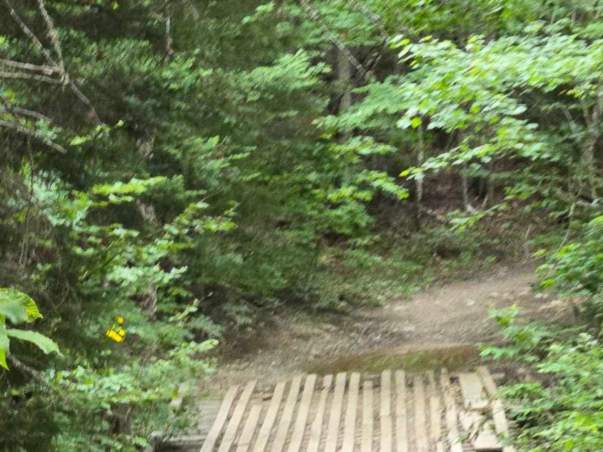 Crooked Creek Switchbacks photo 6