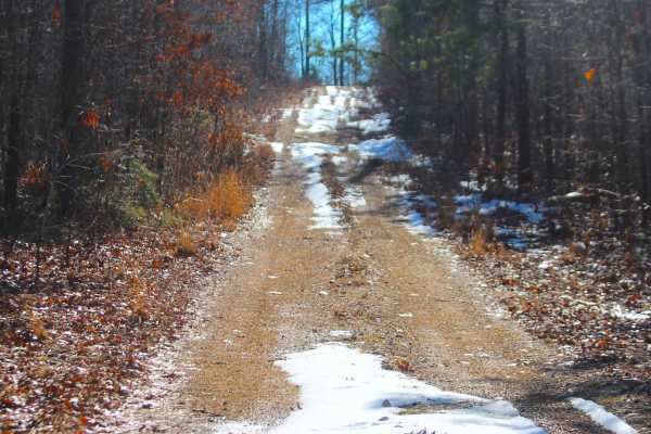 Buzzard Ridge - FS 2677