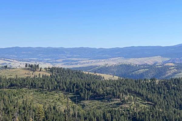 Waugh Gulch