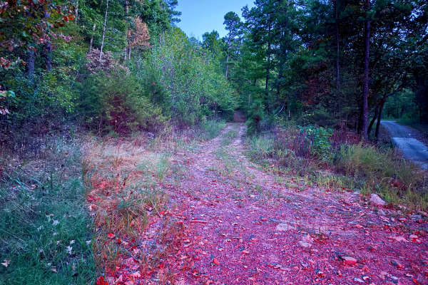 Robert Hill Road