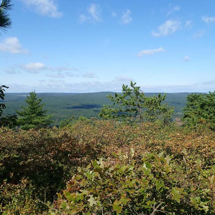 Near Shawangunk Ridge Trail: Wurtsboro Ridge Section