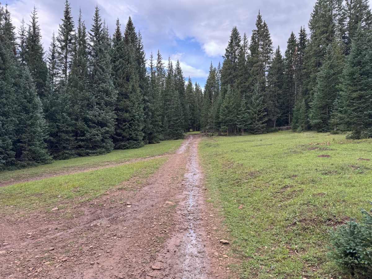 Dillons Cabin B Road trail photo