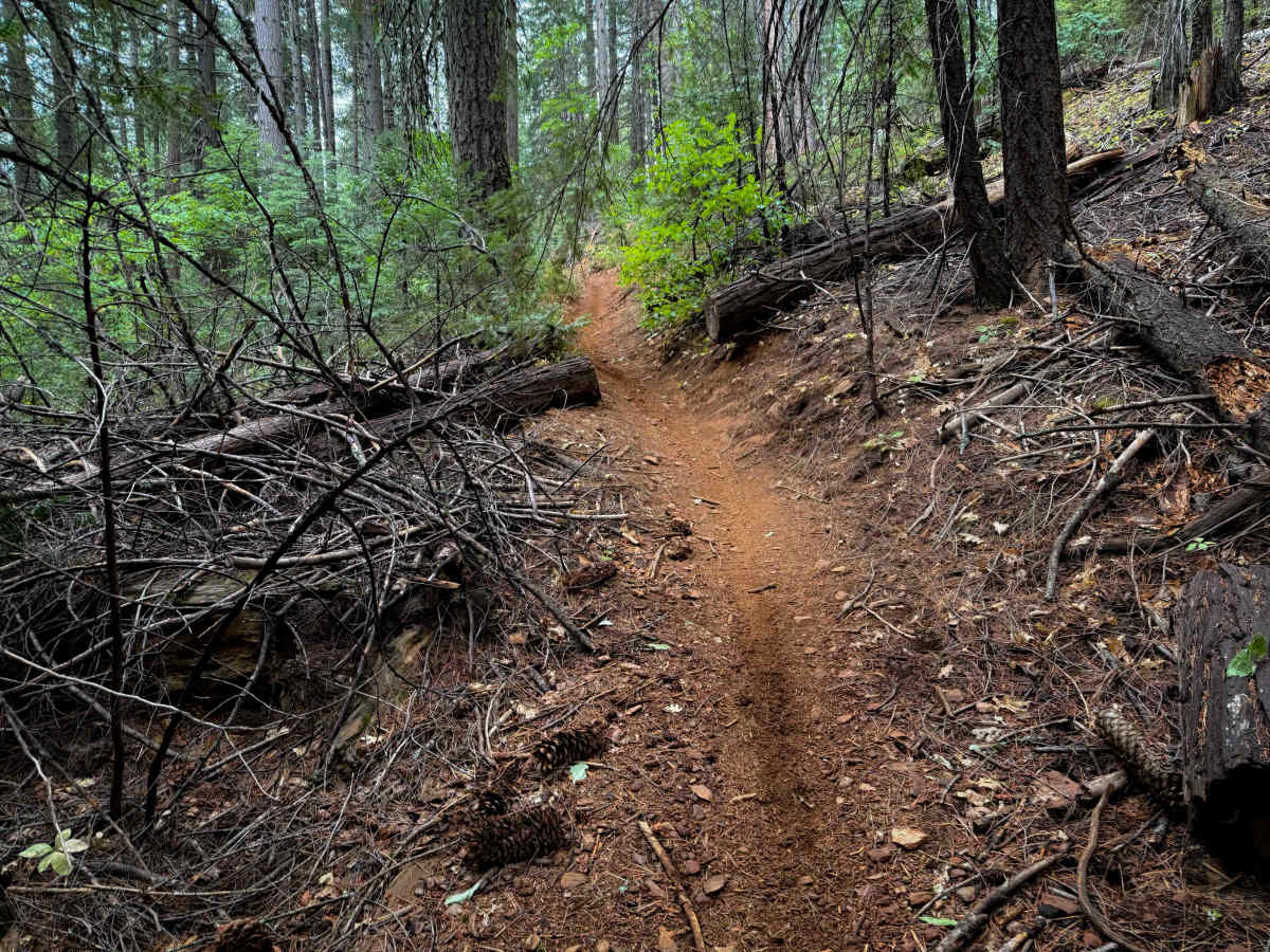 15EV69 trail photo
