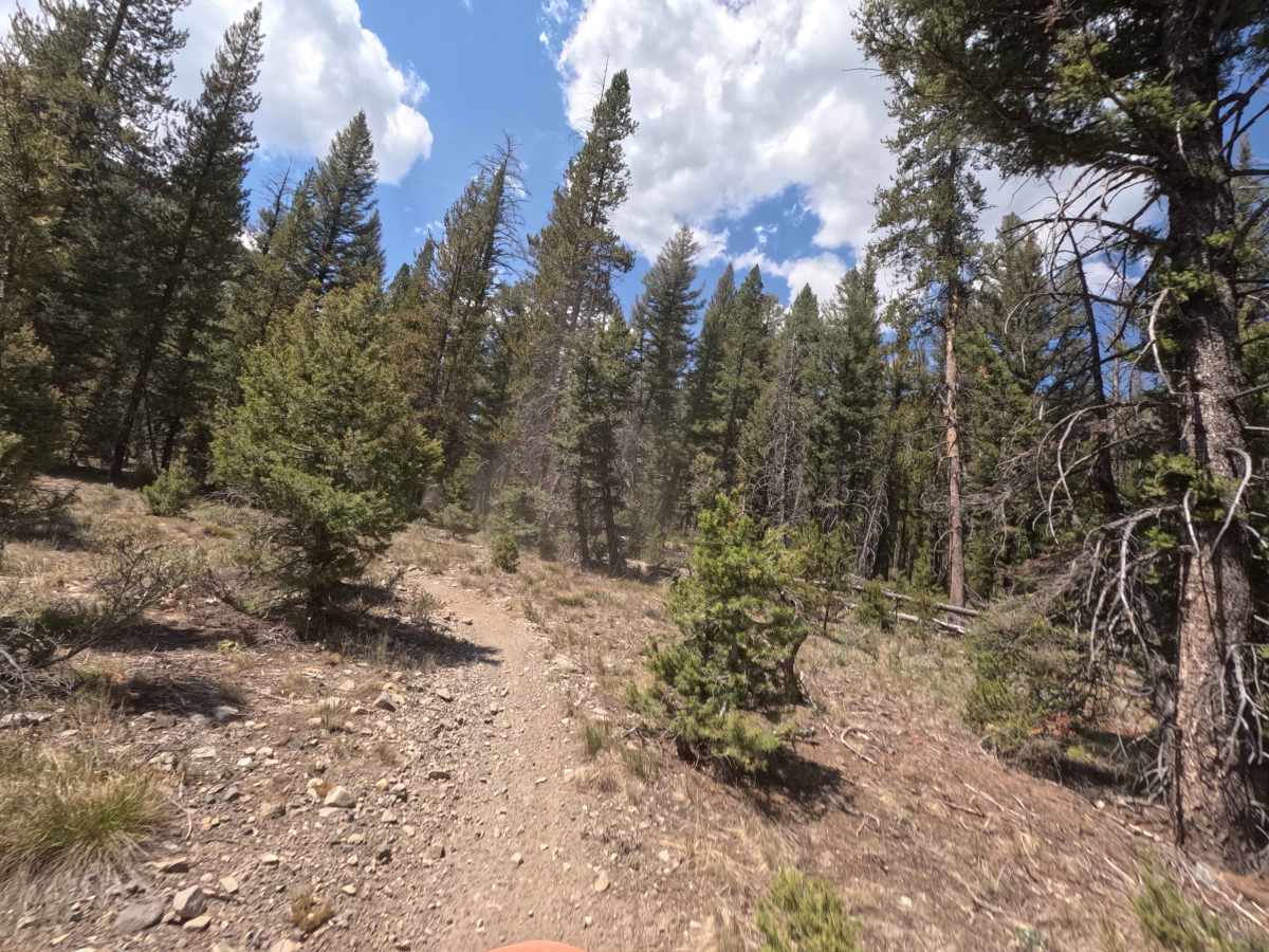 West Fork Big Smoky Creek - FS 7224 photo 2