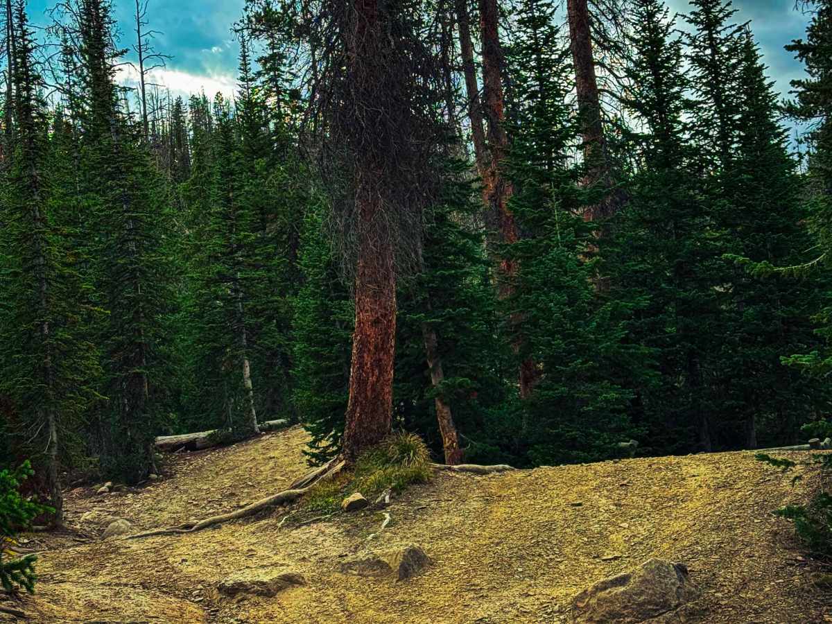 Echo Lake Trail photo 3