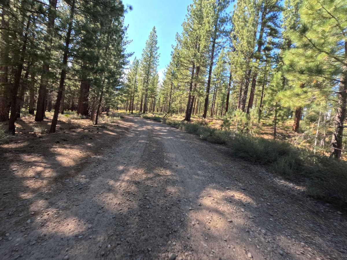 Old Fibreboard Rd - South Segment - FS 0089-034 photo 5