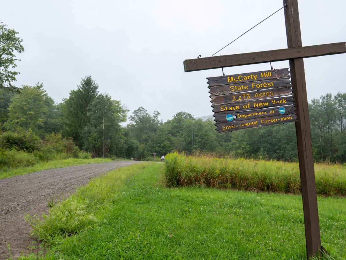 Eagle Forest Road photo 6
