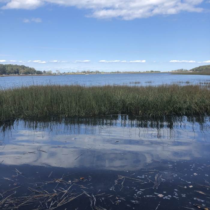 Near Long Island Greenbelt Trail
