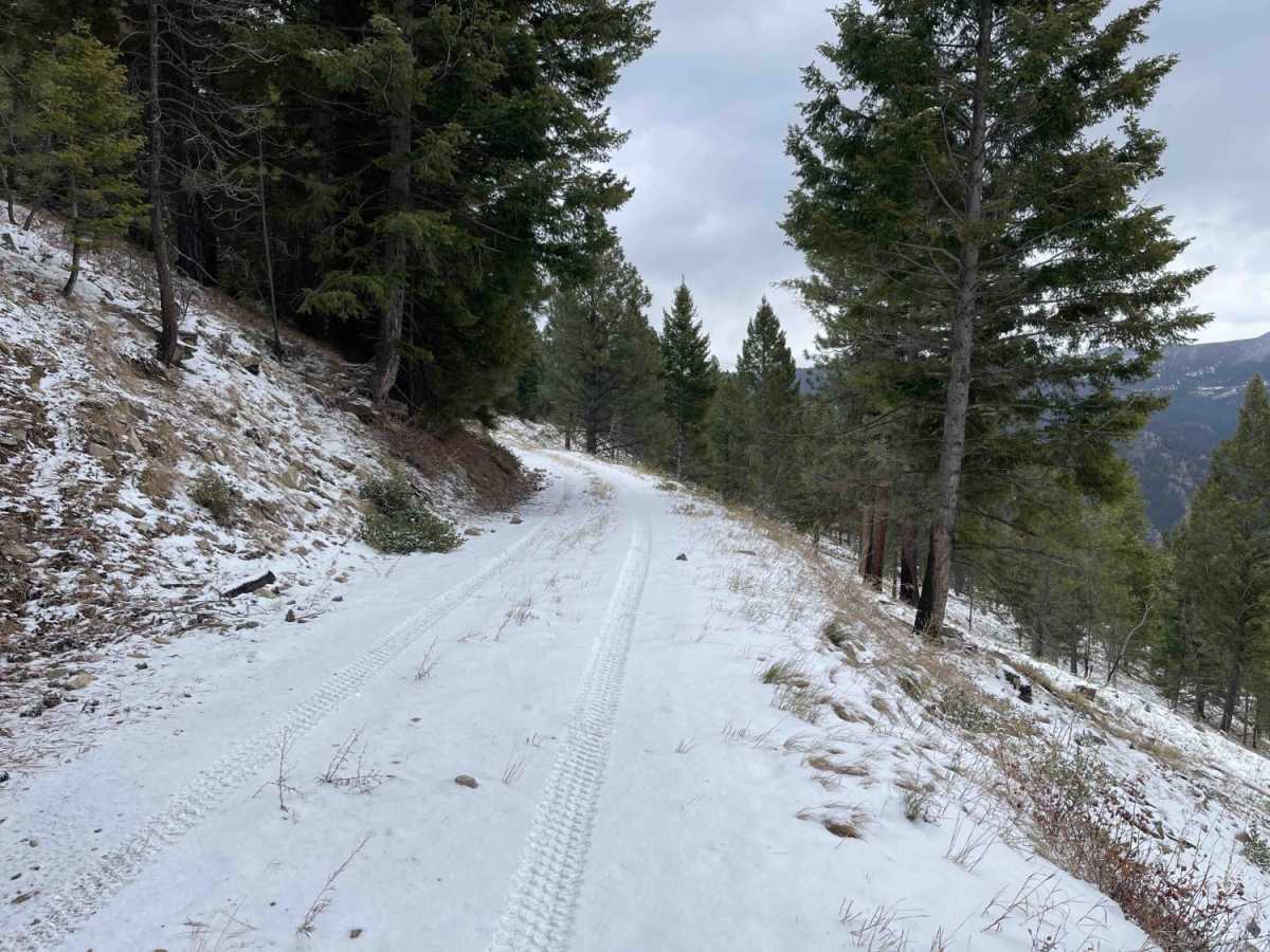 Wheeler Creek trail photo