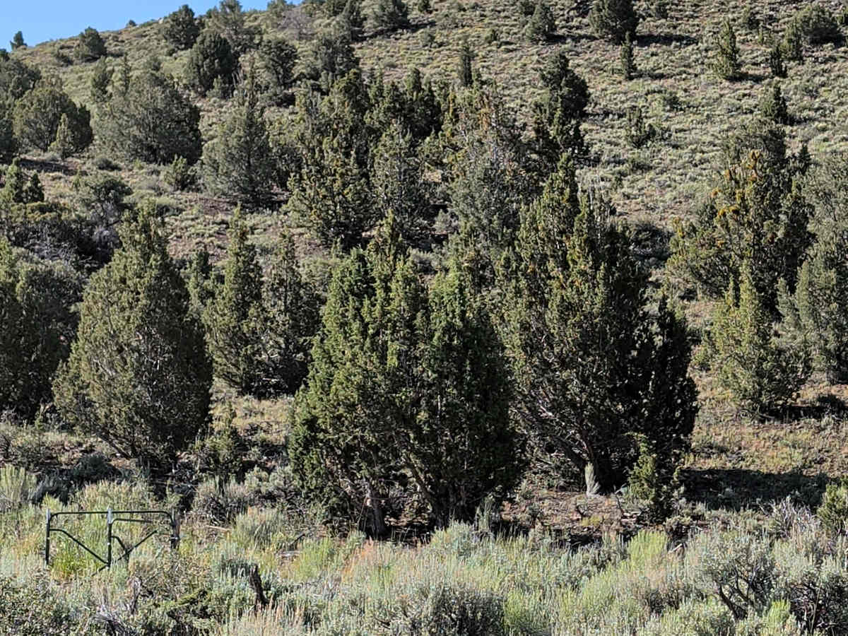 Aurora Canyon Road photo 6