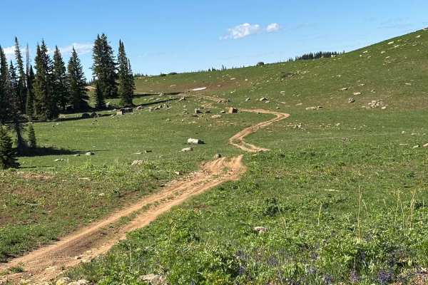 Cow Lake Road