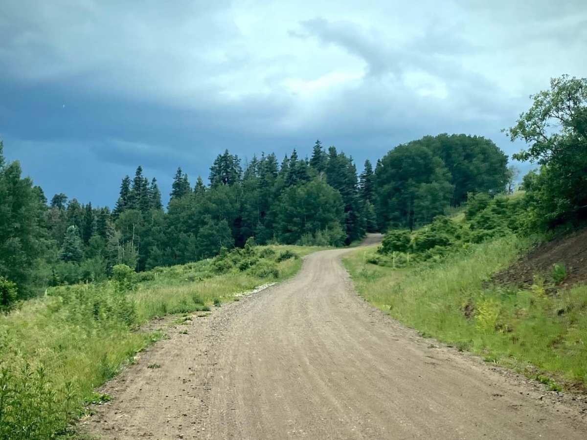 Poison Park Rd #644 photo 5