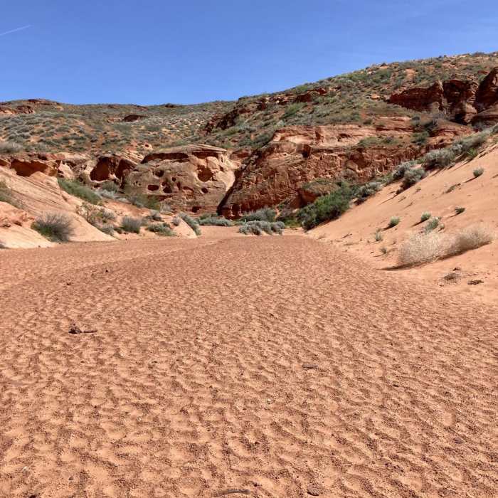 Near Elephant Arch Trail