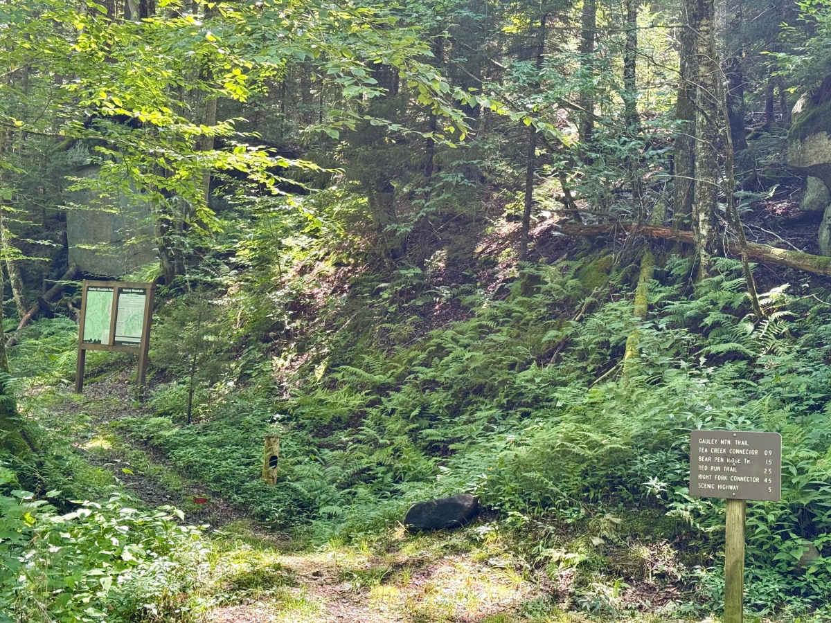 Mine Road 219/1 photo 6