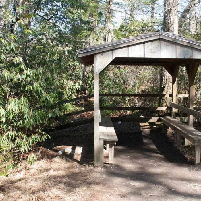 Near Linville Falls Hike Near Linville Falls Hike