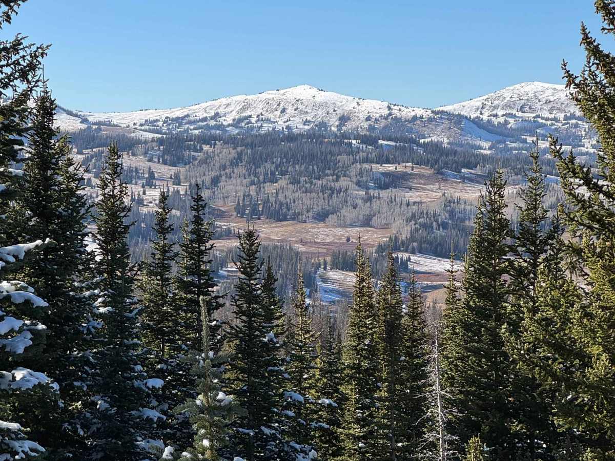 Gold Hill Pass photo 5