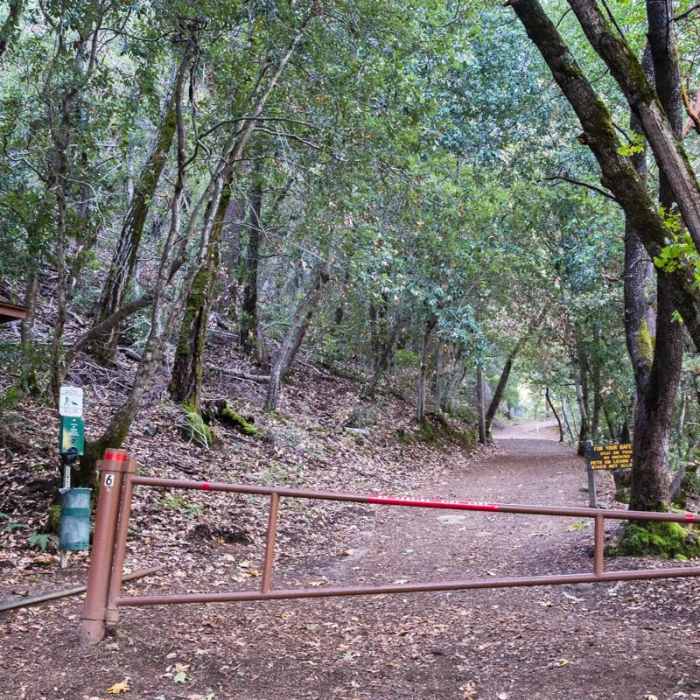 Near Waterfall Loop Nature Trail Near Waterfall Loop Nature Trail