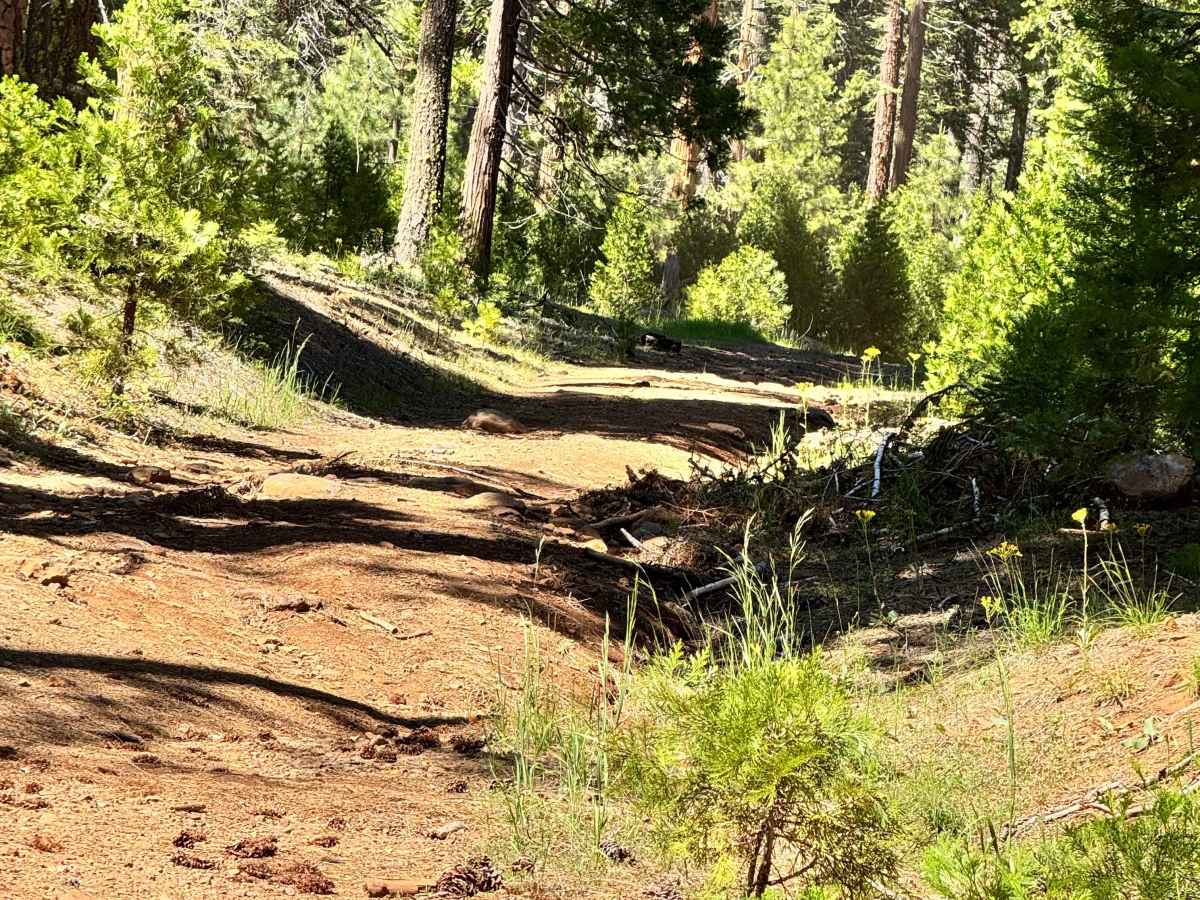 Colby Creek - FS 26N59 photo 5