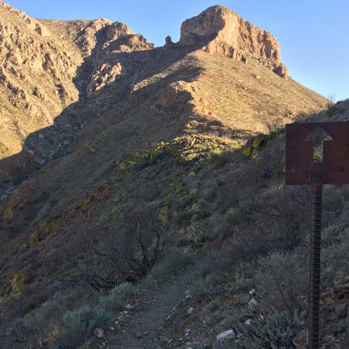 In case you get confused about how to get to Mammoth Rock, you go up. Near Ron Coleman Trail