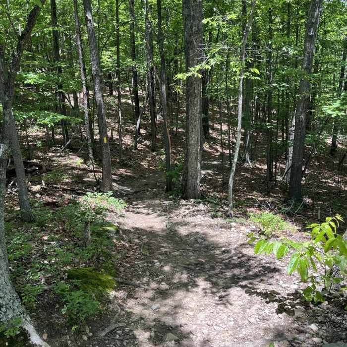 Near Mill Mountain Park Loop